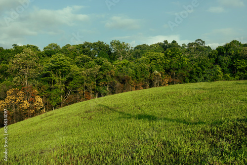 Hillside grasslands and lush rainforests