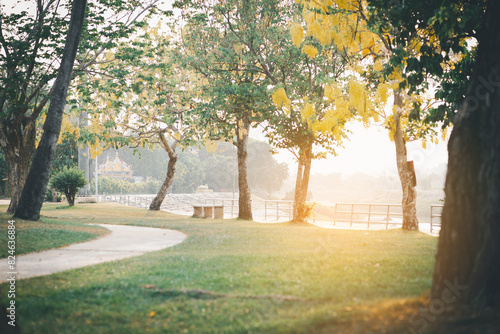 natural green background with selective focus
