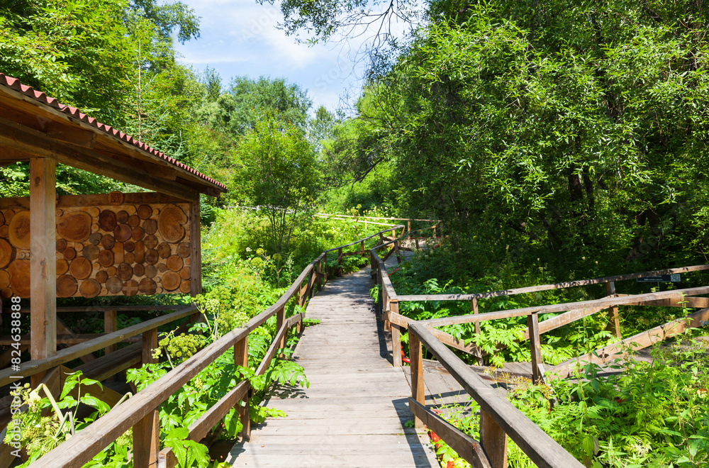 Ecological wooden trail in the Dendrological Park of the Nature Reserve in the village of Listvyanka near the shore of Lake Baikal in summer Ecological wooden trail in the Dendrological Park of the Nature Reserve in the village of Listvyanka near the shore of Lake Baikal in summer