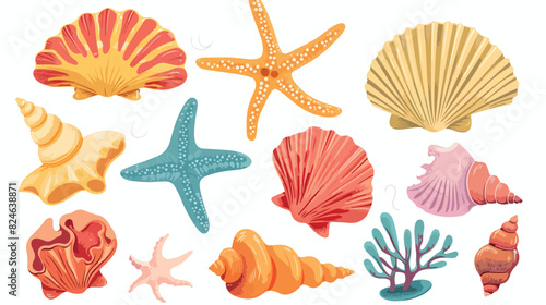 Cartoon seashells colorful shell starfish coral conch