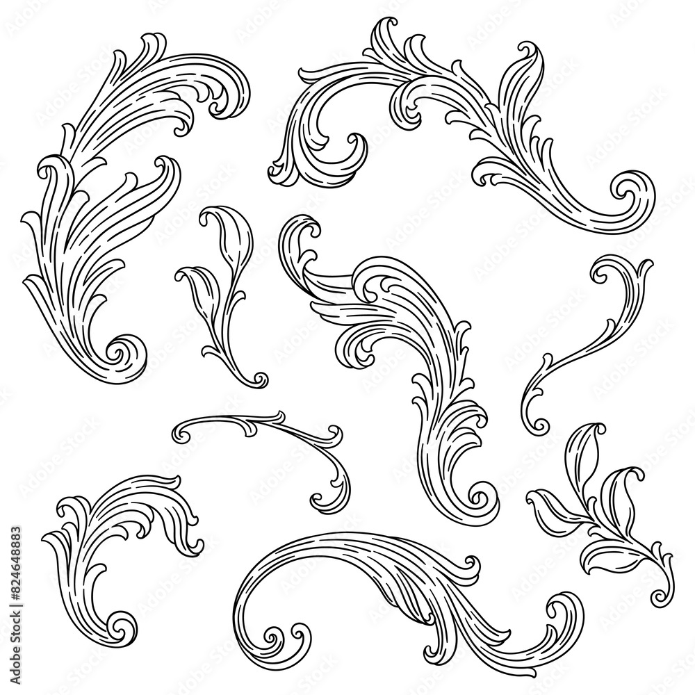 Set of floral elements in baroque style. Decorative curling plant.