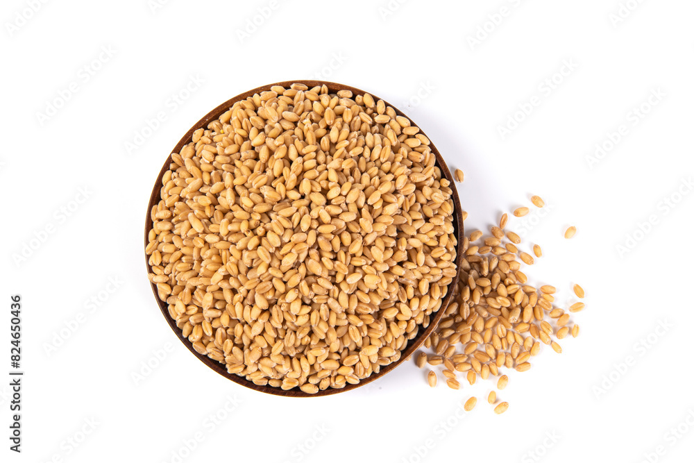 wheat grains isolated on white background. wheat grains isolated on white background.