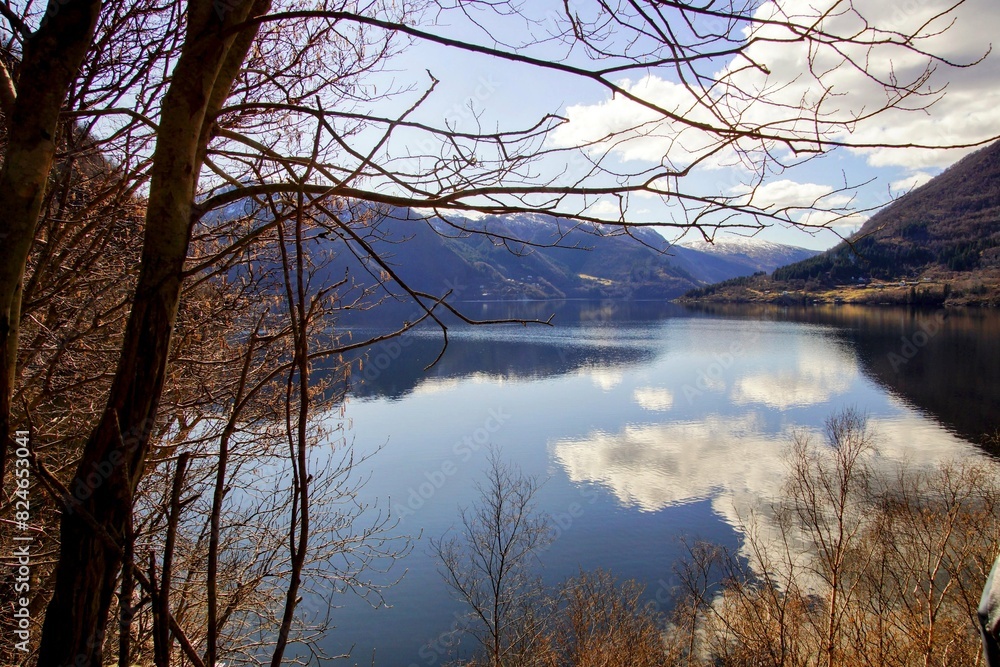Obraz premium reflection of trees in the lake