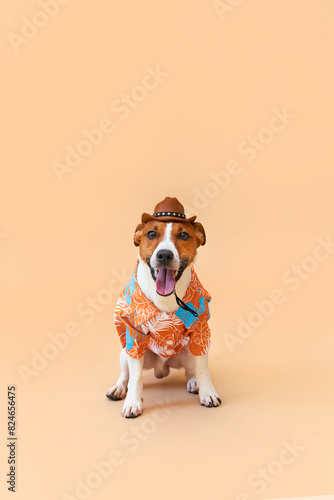 ack Russell terrier breed in a cowboy hat and Hawaiian shirt