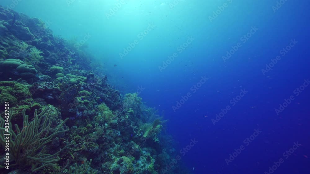 HDR: Undersea drop-off in the Caribbean Sea HDR: Undersea drop-off in the Caribbean Sea