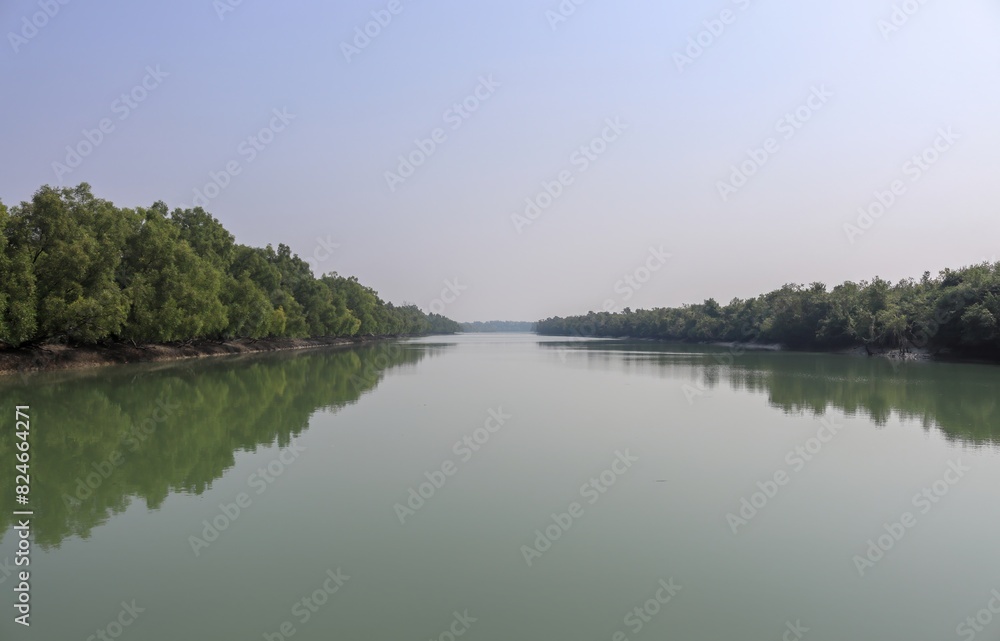 Landscape of a canal of Sundarbans.this photo was taken from Bangladesh. Landscape of a canal of Sundarbans.this photo was taken from Bangladesh.