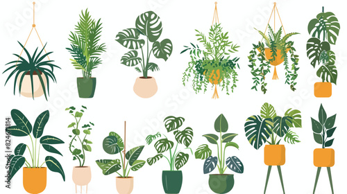 Houseplants in trendy hygge style. Collection of Home