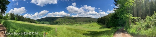 Odenwald Panorama 