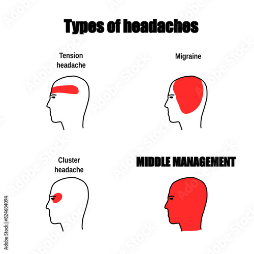 Meme about middle management