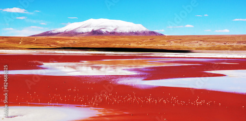 Scenic landscape with a picturesque lake with flamingos and volcano in Bolivia photo