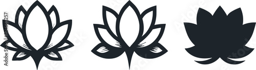 Set of waterlily, vector illustration.