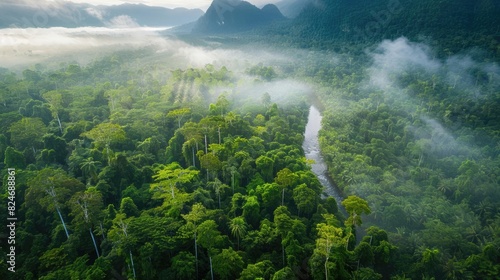 Breathtaking aerial view of lush green rainforest with mist and mountains in the background. Serene landscape perfect for nature enthusiasts.