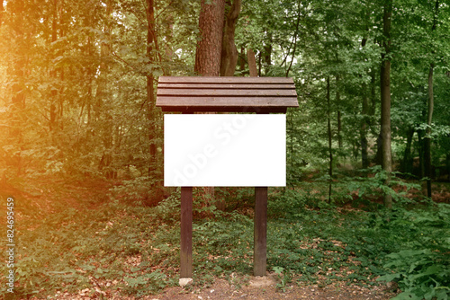 Blank Signpost in European Forest