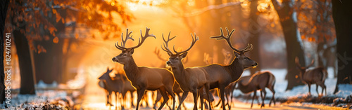 sunset in forest a group of deer in jungle animal wildlife woodland nature with orange background © Safia