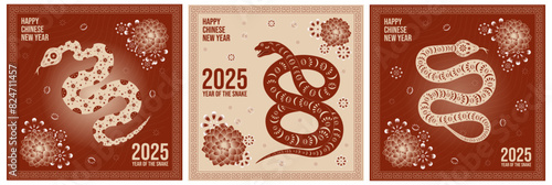 Set of vector festive cards with snake with traditional ornament, lanterns and lotus for lunar chinese new year celebration. Happy new year lunar in China square cards.
