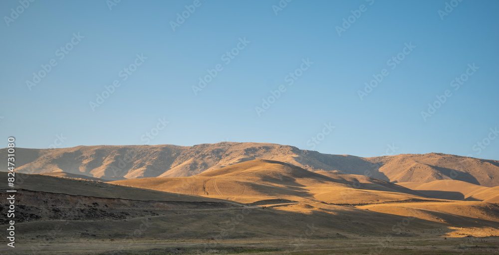 Fototapeta premium a vast, open landscape at golden hour with rolling hills, a clear sky, and the play of shadows and light creating a tranquil, picturesque scene