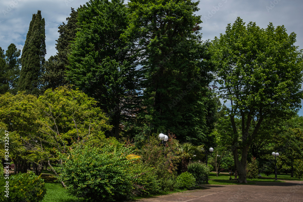 tranquil city park landscape with various green trees, a red brick pathway, and spherical white street lamps, on a bright, sunny day. tranquil city park landscape with various green trees, a red brick pathway, and spherical white street lamps, on a bright, sunny day.