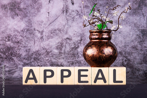 Word APPEAL made with wood building blocks on a gray back ground photo