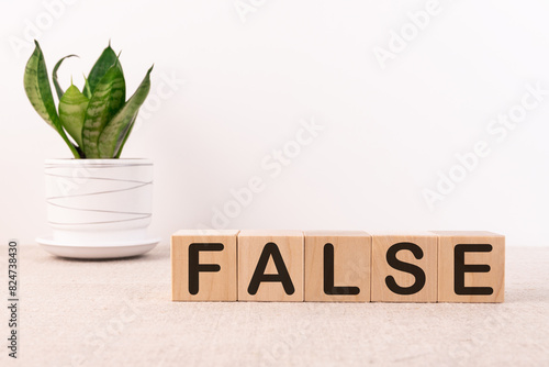 Word False is written on wooden cubes blocks on a light background.