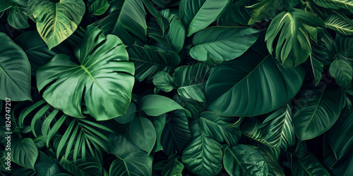 Tropical jungle green leaves background  horizontal Top down view