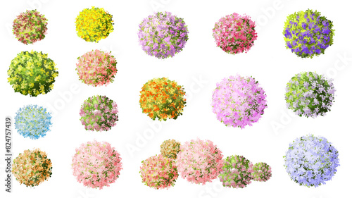 Vertor set of spring blossom tree,bloomimg plants side view for landscape elevation and section,eco environment concept design,watercolor illustration,colorful season