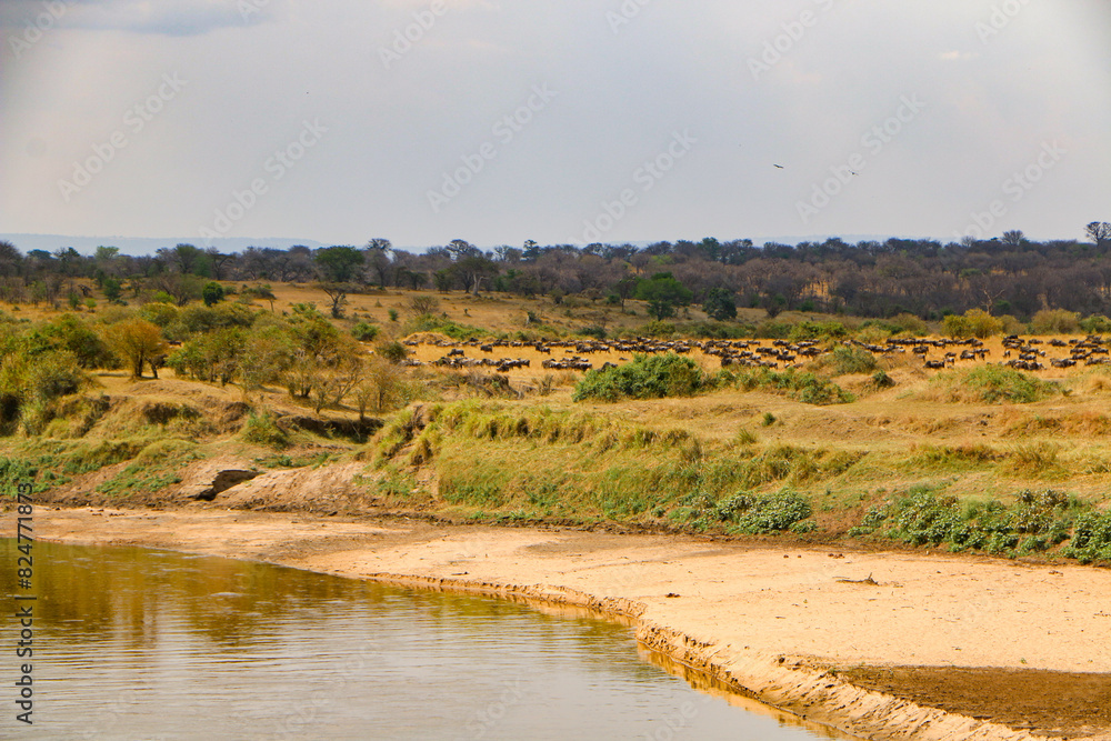 Serengeti national park