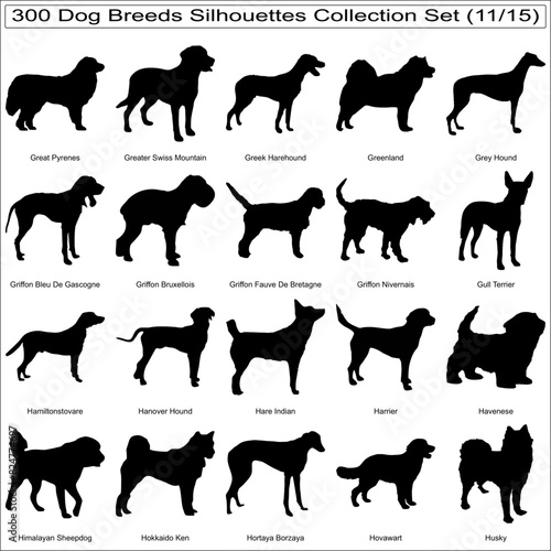 Set of Dog Breeds Silhouettes Bundle Collection Set of 300 Dog Silhouettes Isolated Part 11