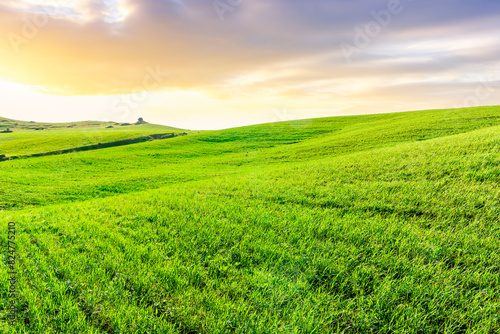 Countryside farm landscape of green field grassland in spring pr summer season with green fresh grass and beautiful sunset or sunrise cloudy sky on background
