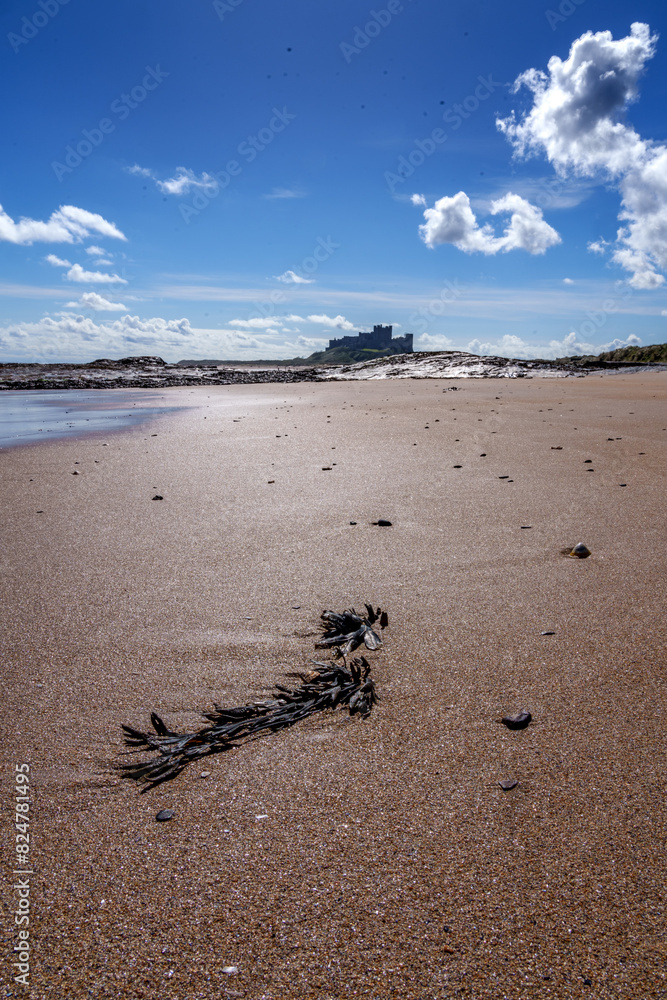 Obraz premium bamburgh castle