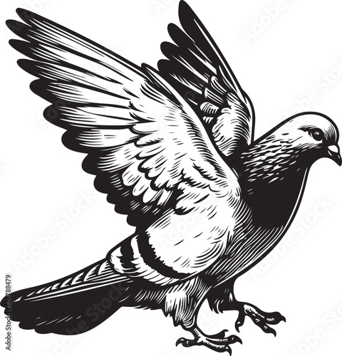 pigeon Vector sketch art illustration photo