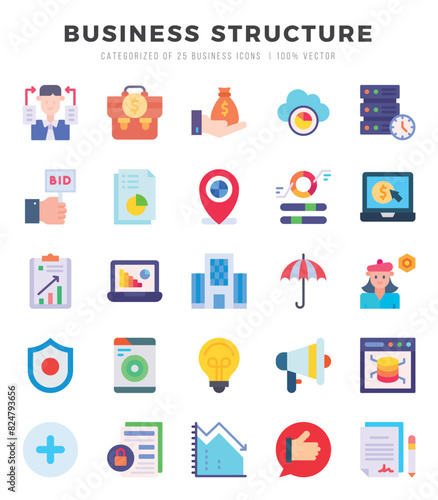 Collection of Business Structure 25 Flat Icons Pack.
