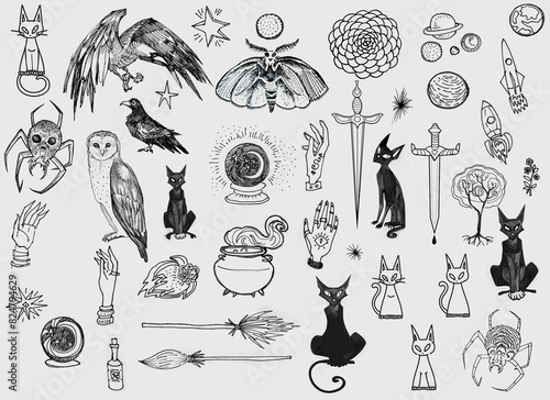Set line art drawing clipart halloween holiday party invitation. Witch minimalistic items icons bird skull witch magic book sword rose flower Gothic stickers design elements on occult scary theme	
