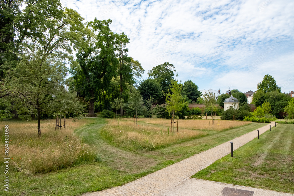 Beautiful park with green landscape, pathway, trees, houses under sunny sky. Nature and serenity in scenic view