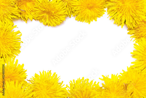 Dandelion flower isolated on the white background. Top view. photo