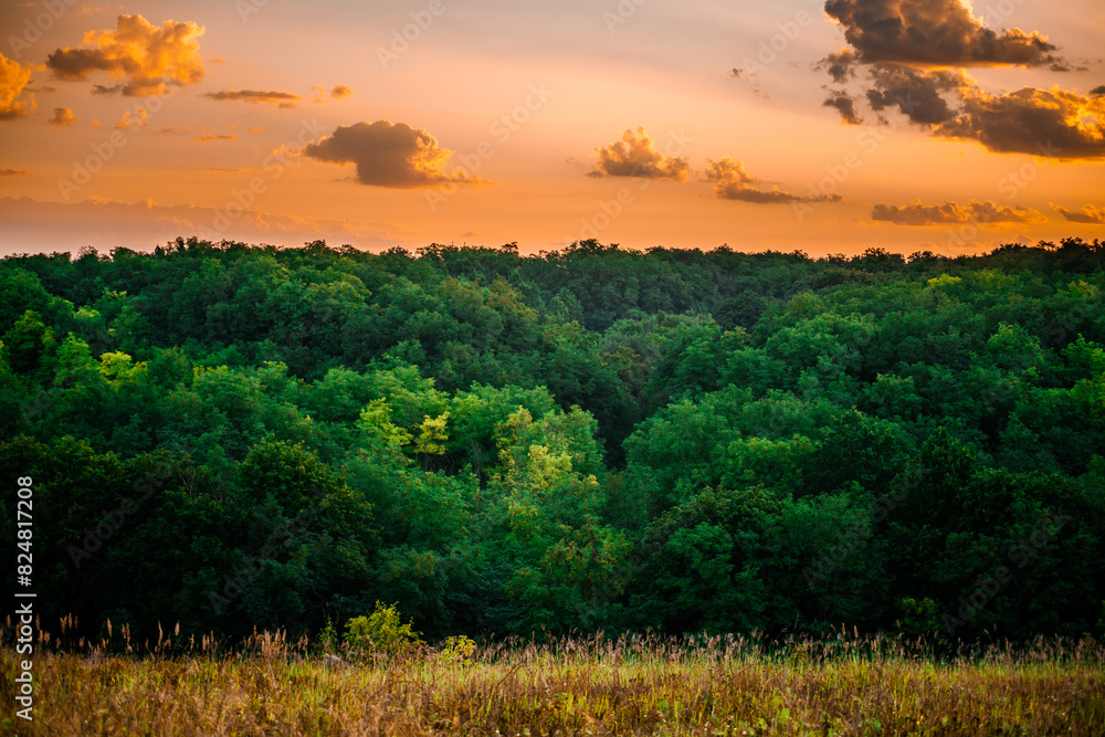 Obraz premium Sunrise and orange sky . Beautiful sunlights . Clouds over the forest . Green grass and trees . Summer morning . Golden hour . Sun over the forest . Lights in forest 
