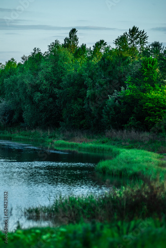 Lake and forest . Summer lake . Green woods and green field . Lake and reflactions on water . Green trees . Blue water . Forest on lake  photo