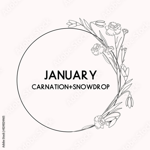 January birth month flower wreath, carnation and snowdrop flower border, vector hand drawn isolated line art botanical frame for greeting cards and invitations