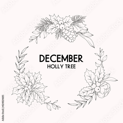 December birth month flower wreath, holly tree floral border, vector hand drawn isolated line art botanical frame for greeting cards and invitations