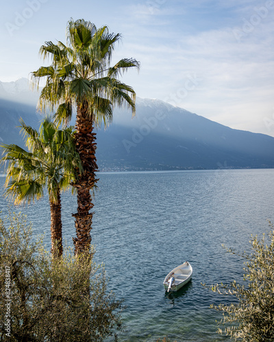 Sunrise Serenity: Lake Garda with Palm Tree and Boat