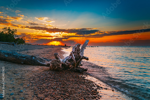 Driftwood on a rocky beach at sunset