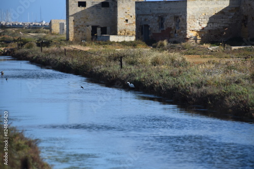 Obraz na płótnie Saline di Trapani. Sicilia w salonie