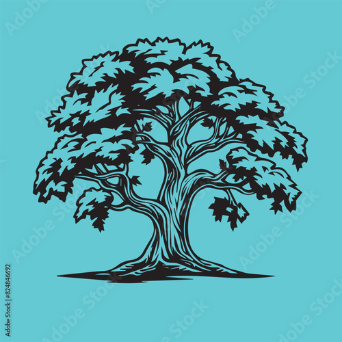 albero dalle ricche fronde