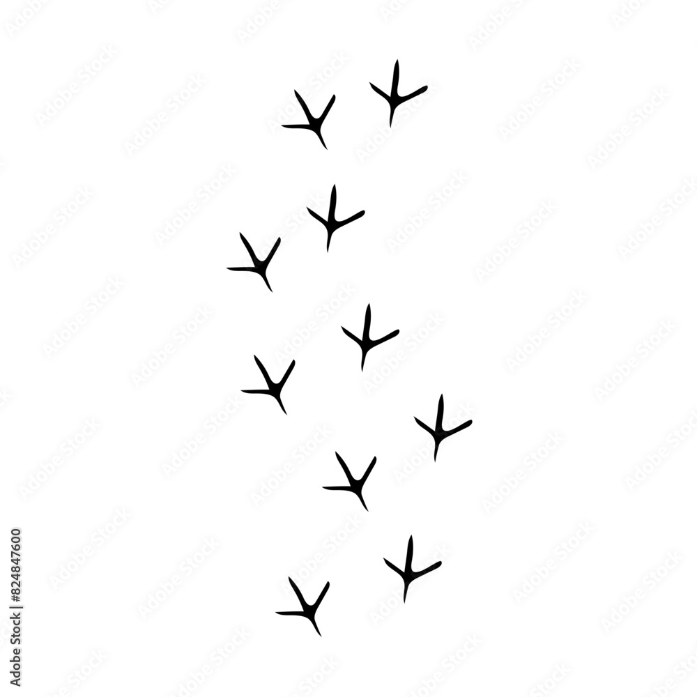 flat Chicken track footprints vector