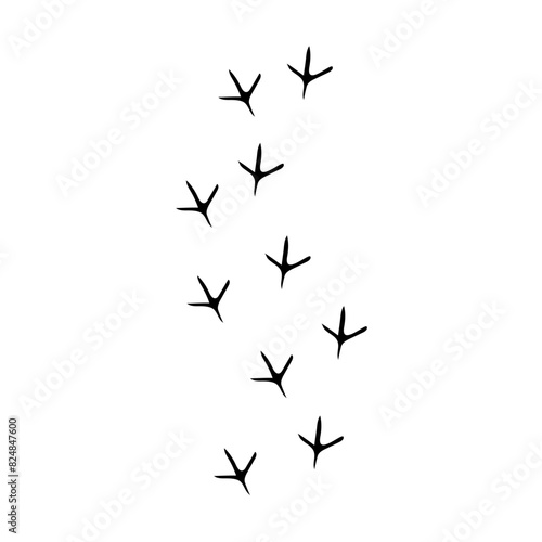 Obraz na płótnie flat Chicken track footprints vector w salonie
