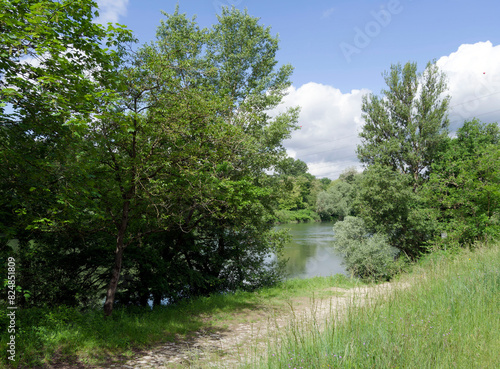 Rheinlandschaft. Leinpfad parallel zum Rhein zwischen Isteiner Klotz und Isteiner Schwellen. Südlichen Oberrheintieflandes im Baden-Württemberg photo