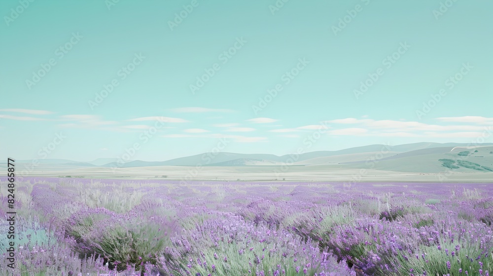 Tranquil Lavender Field Under Calm Skies Serene Rural Landscape for Relaxation
