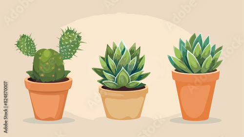 Green succulent flowerpot. Cartoon cactus. Exotic mex photo