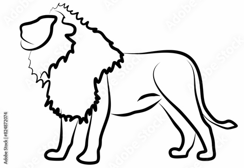 vector line art lion, logo icon