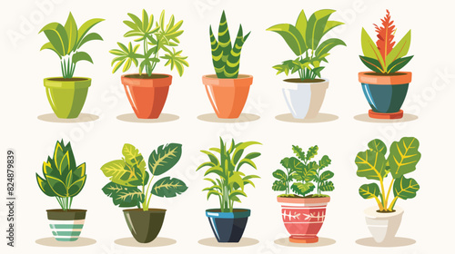 Houseplants care process icons Cartoon Vector style vector