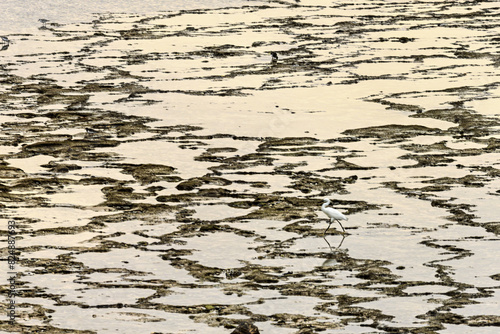 Unique Sand Patterns at Vila Nova de Milfontes, Portugal